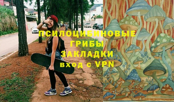 крисы Алексеевка