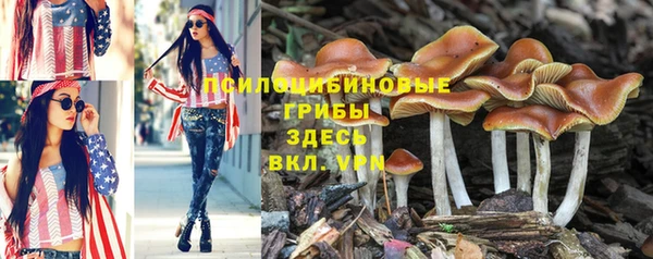 мет Алзамай