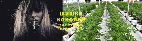 spice Абаза