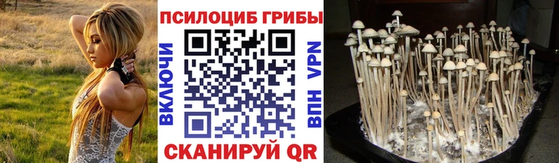 даркнет сайт  гидра ссылка  Псилоцибиновые грибы прущие грибы  Королёв 
